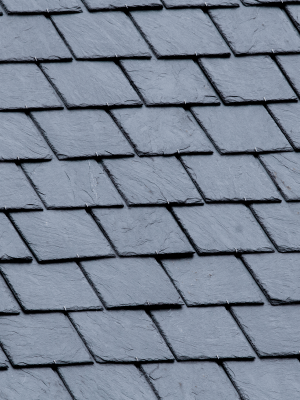 closeup photo of slate roofing tiles